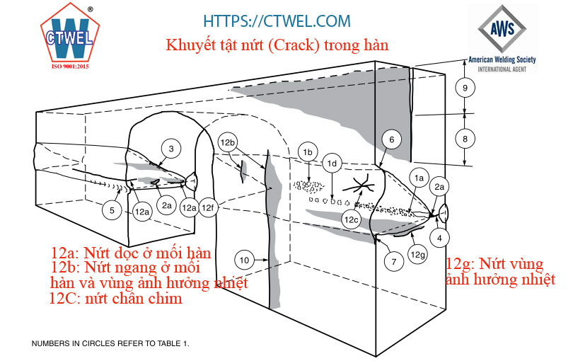 Khuyết tật nứt trong hàn, Nứt là một dạng khuyết tật nguy hiểm nhất trong hàn nó ảnh hưởng trực tiếp đến khả năng chịu lực của mối hàn, Hầu hết các tiêu chuẩn không chấp nhận khuyết tật nứt. 